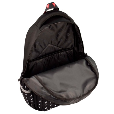 Рюкзак школьный Фразы с характером Феникс ФЕ-64526 4