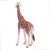 Фигурка Самец жирафа Konik AMW2004 Фигурка Самец жирафа Konik AMW2004