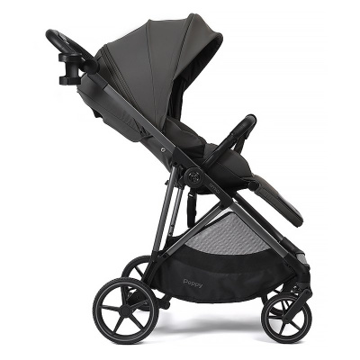 Прогулочная коляска Peppy Amici Antrazit рама Grey 05