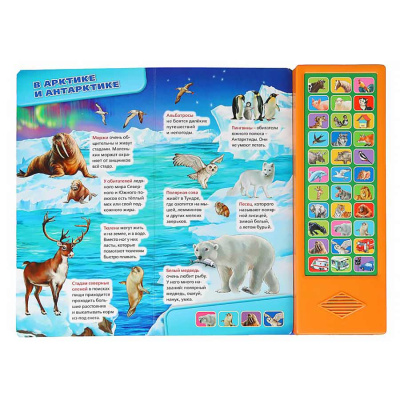 Книга интерактивная озвученная Мир вокруг нас Умка 9785506034759 3