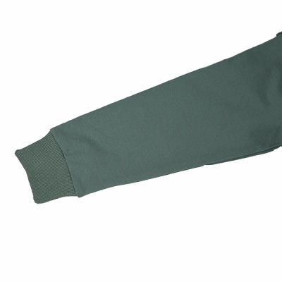 Свитшот демисезонный для мальчиков Seabird Sr A012