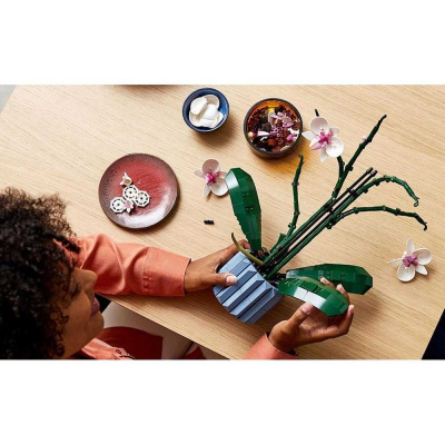 Конструктор Lego 10311 Орхидея