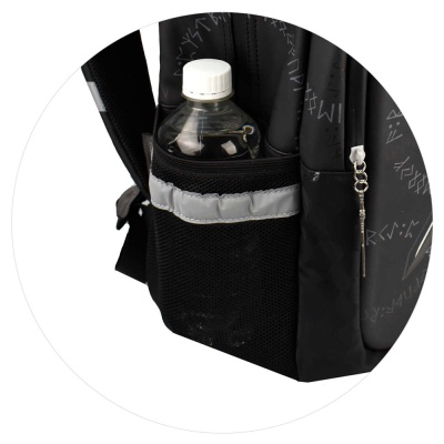 Рюкзак школьный Рысь Феникс ФЕ-64143 4