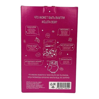 Подарочный набор MilotaBox mini Sova Box iLikeGift MBS034