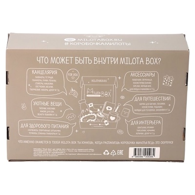 Подарочный набор MilotaBox Plush Box iLikeGift MB113