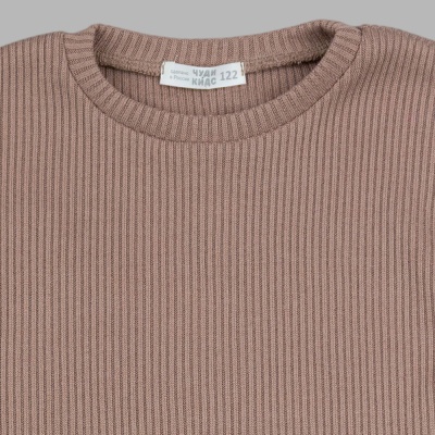 Лонгслив Чуди Кидс 505125Ц2-1 коричневый 02