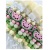 Держатель для пустышки Darling Clip watermelon DCLIPMELON Bibs