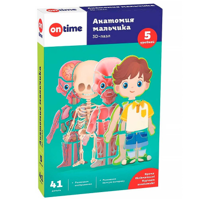 Пазлы 3D обучающие для детей Анатомия мальчика On Time 45209 5