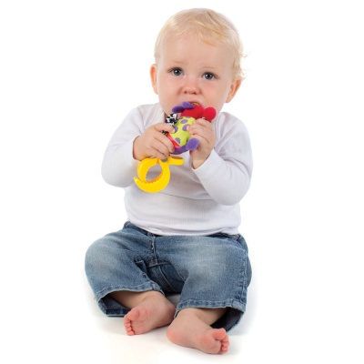 Подвеска Божья коровка Playgro 111926