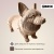 Картонный 3D конструктор Корги QBRIX 20036