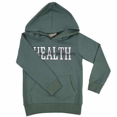 Свитшот демисезонный для мальчиков Seabird Sr A012