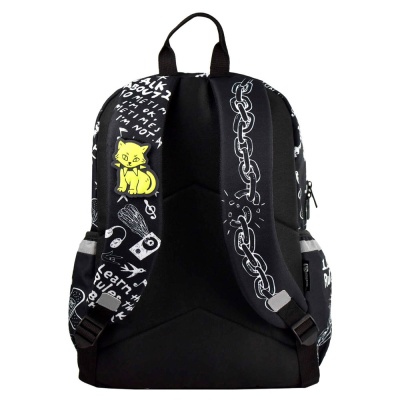 Рюкзак школьный Панк Феникс ФЕ-64145 2