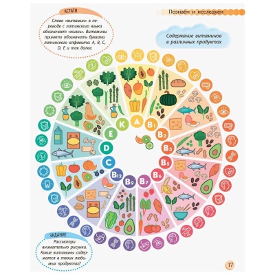 Книга Познаем и исследуем Человек и его тело Ranok С421009Р Книга Познаем и исследуем Человек и его тело Ranok С421009Р