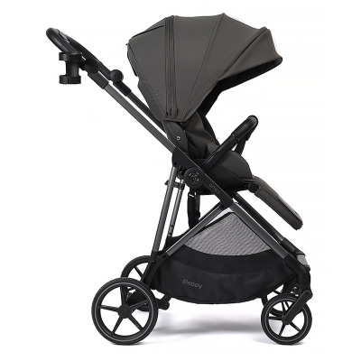 Прогулочная коляска Peppy Amici Antrazit рама Grey 04