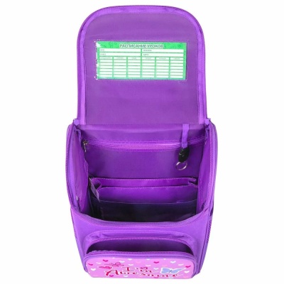 Школьный ранец Пифагор Basic 271370 4