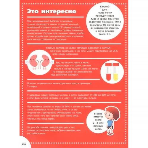 Анатомия Большой атлас для детей и взрослых АСТ 9785171326661 фото 3