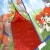 Игровая палатка Щенячий патруль Играем вместе GFA-PP01-R
