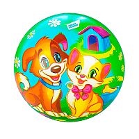 Мяч Котёнок и щенок 23 см Dream Makers 2608