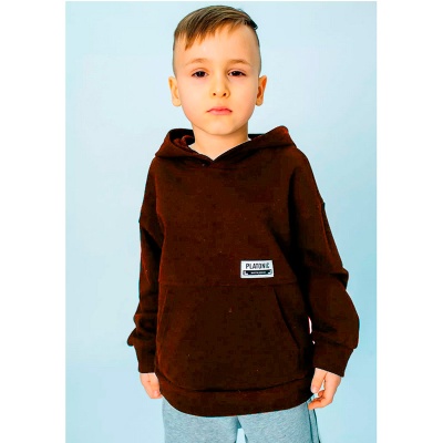 Худи для мальчика Colabear 611095 коричневый 2