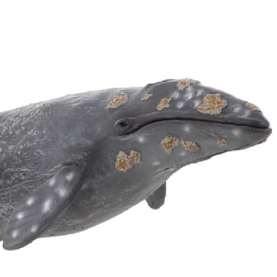Фигурка Серый кит Konik AMS3016-1