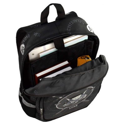 Рюкзак школьный Рысь Феникс ФЕ-64143 3