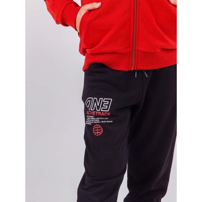 Спортивный костюм демисезонный DMB 4815/4816 1