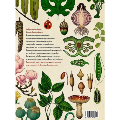 Энциклопедия Ботаникум Махаон 50170384 4