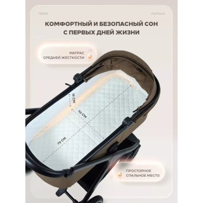 Коляска 2 в 1 Rant basic Terra RA163 Brown 04
