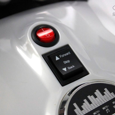  Детский электротрицикл RiverToys Z333ZZ белый