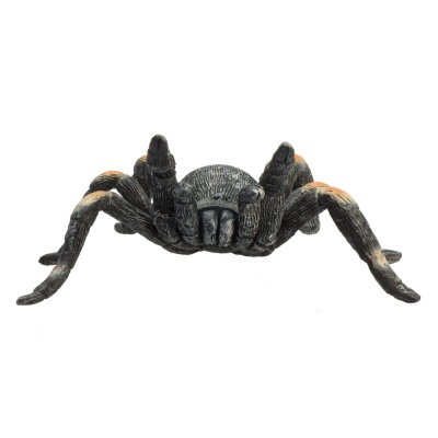 Фигурка Красноколенный тарантул Konik AMW2097 3