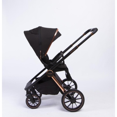 Коляска 2 в 1 Peppy Monaco  new