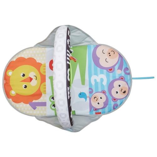 Развивающий двусторонний коврик Fisher-Price FXC14 фото 5