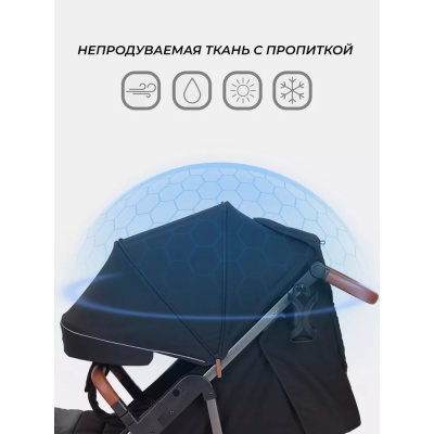 Коляска прогулочная Rant Vega RA057 Black