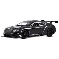 Коллекционная машинка Bentley Continental GT3 Concept Автопанорама JB1251565