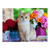 Алмазная мозаика Красивая кошка у цветов 30х40 см Рыжий Кот AC34029