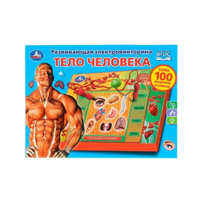 Электровикторина Тело человека Умка HT522-R