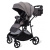 Прогулочная коляска Peppy Amici Grey рама серая