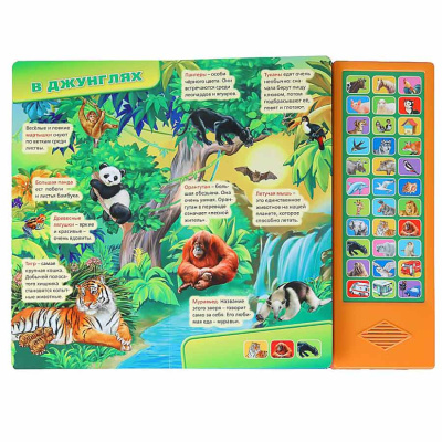 Книга интерактивная озвученная Мир вокруг нас Умка 9785506034759 4