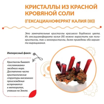 Набор для выращивания кристаллов Трюки Науки Лаборатория кристаллов Бумбарам Z009