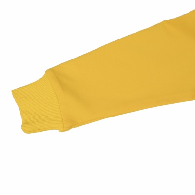 Свитшот демисезонный для мальчика Seabird Sr A004