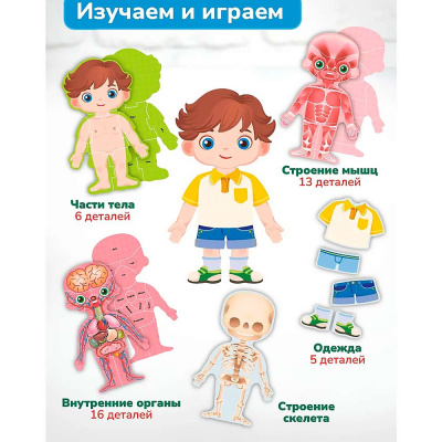 Пазлы 3D обучающие для детей Анатомия мальчика On Time 45209 2