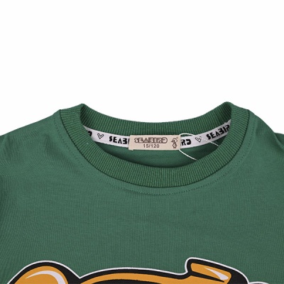 Свитшот демисезонный для мальчиков Seabird Sr 80020