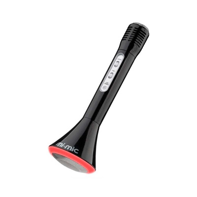 Микрофон Звезда караоке Wilton Bradley Ltd TY5899