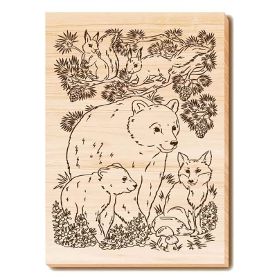 Набор досок для выжигания и росписи Животный мир Десятое Королевство 04956 4