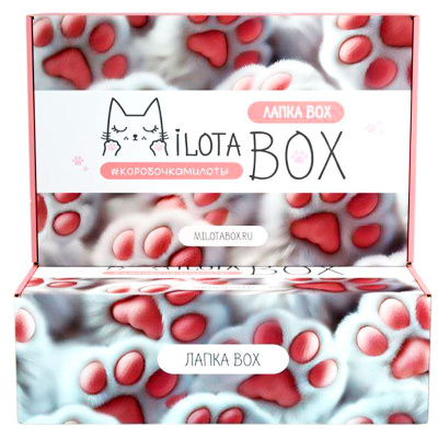 Подарочный набор MilotaBox Лапка Box iLikeGift MB135 4