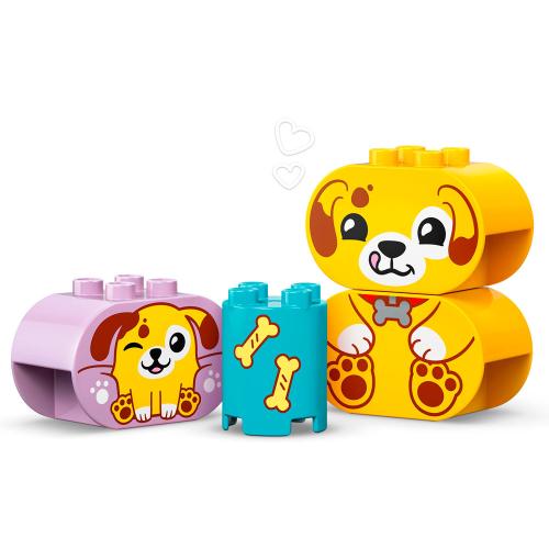 Конструктор Lego Duplo 10441 Сортировщик фигур домик для щенков фото 3