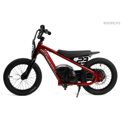 Детский электромотоцикл RiverToys A001AA красный
