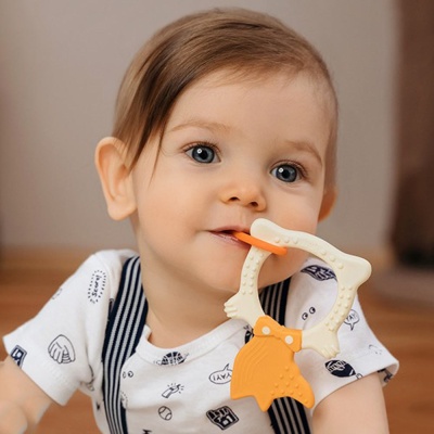 Прорезыватель универсальный Fox Roxy-Kids RBT20031 2