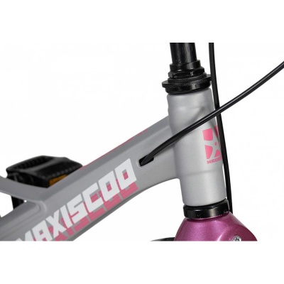 Велосипед детский Maxiscoo Space Deluxe Plus 14 MSC-S1443D серый жемчуг 05