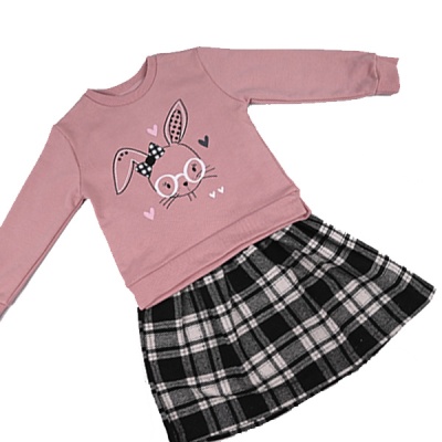 Комплект(пл+свитшот) деми пудра DMB 9491 2